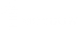 Moydow Logo 11 W (Medium)